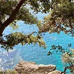 A Dream In Portofino Piazzetta